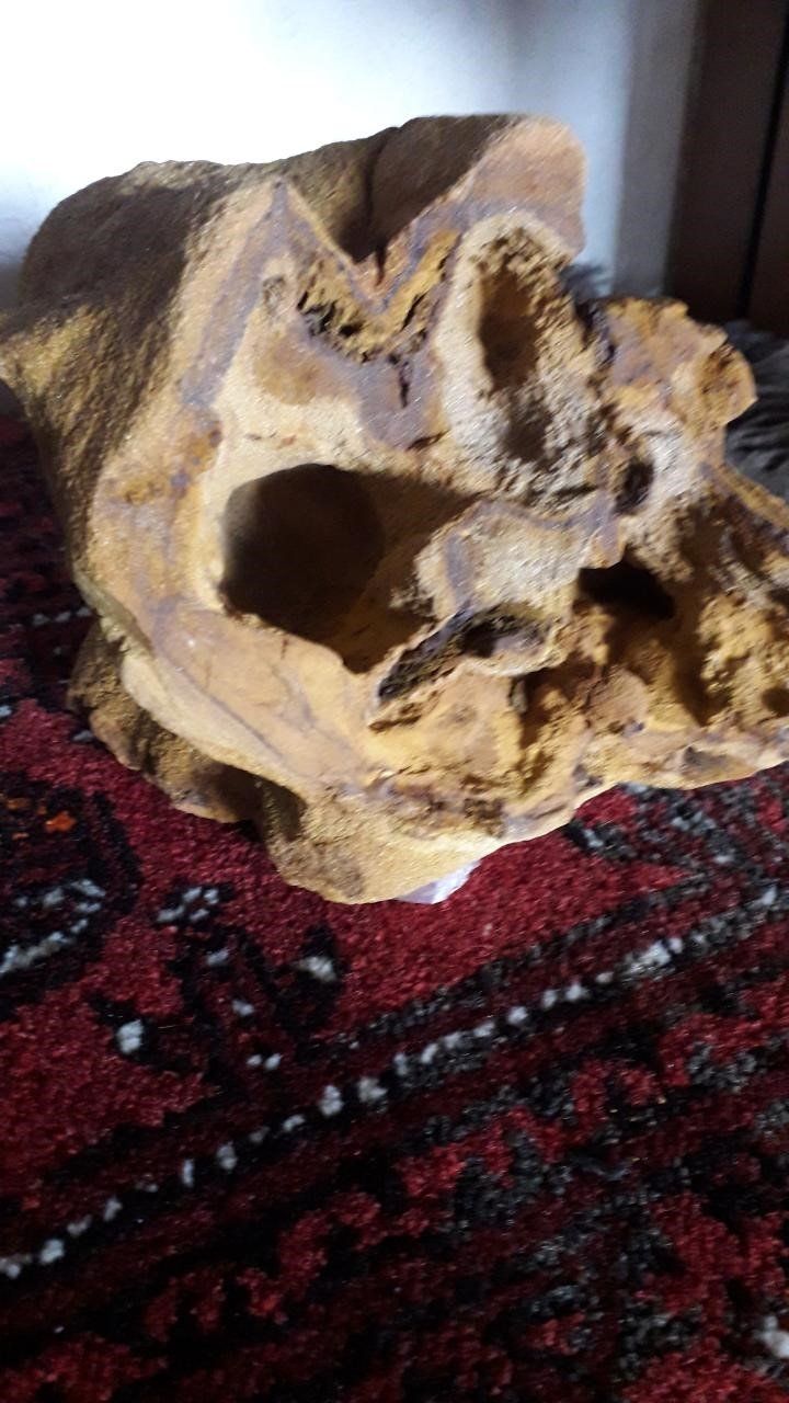 Fossili: Versteinertes Holz – Nuovo (secondo la descrizione) da Neuhausen venduto da terracebc 3