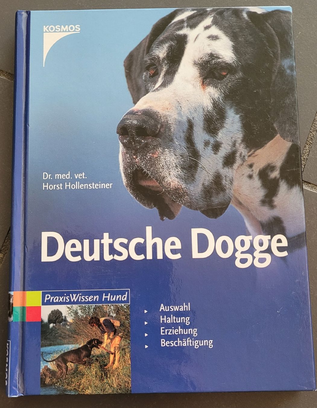 Libri: Buch Deutsche Dogge  – Usato da Kappel SO venduto da Matschi86