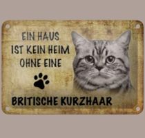 🔥 BRITISCH KURZHAAR KATZE Blechschild 🎀 12x18cm OVP 🔥
