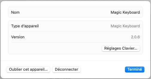 Apple Tastaturen: Apple Magic Keyboard white US layout – Gebraucht aus Lausanne von val-sav 2