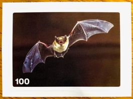 Migros Nature Detectives - Bild Nr. 100