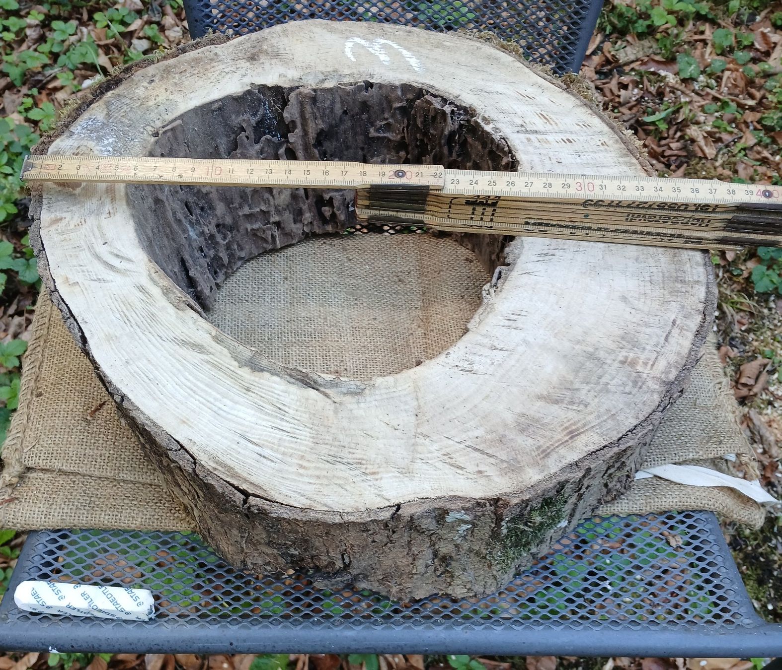 Articoli in legno: Baumscheibe Natur hohl, roh >  B3 – Usato da Bilten venduto da Archiv55