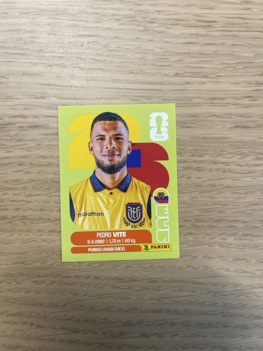 Aufkleber: Panini FIFA WC ECU 12 – Neu (gemäss Beschreibung) aus Lausanne 26 von mar_2ldv