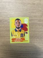 Panini FIFA WC ECU 12