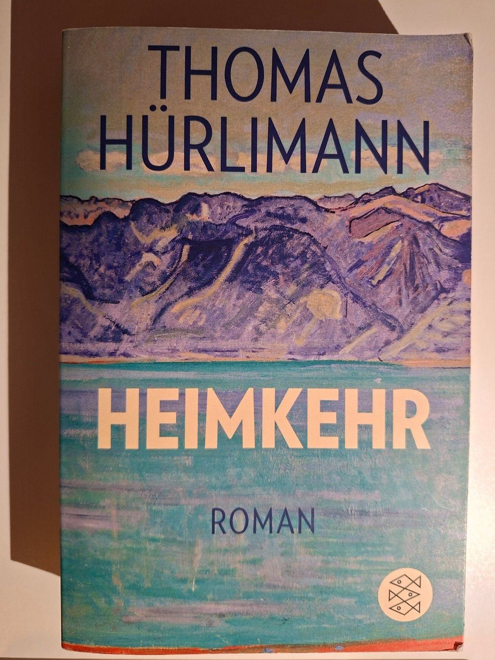 Libri: Thomas Hürlimann: Heimkehr – Usato da Dietikon venduto da Buchantiqdietikon