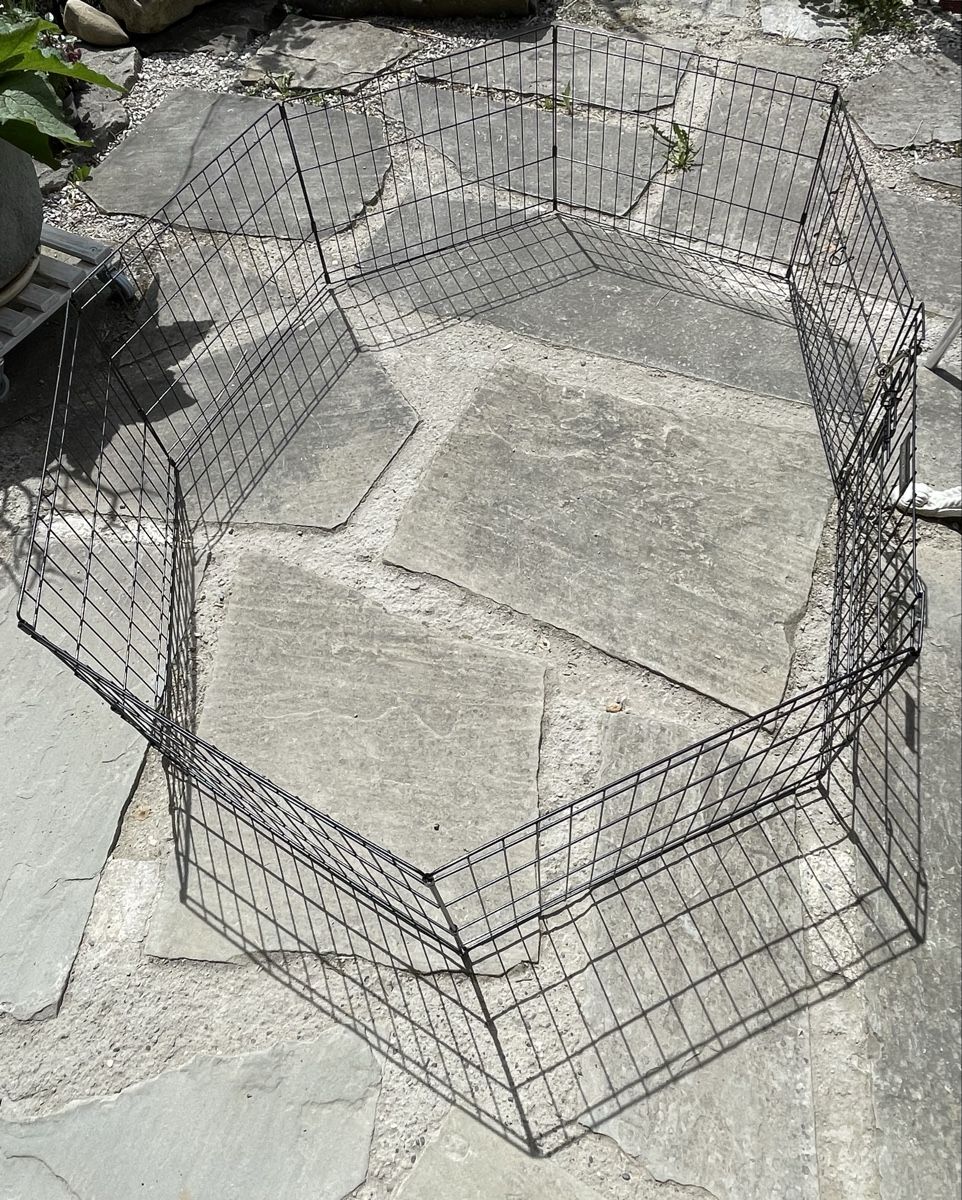 Gabbie, trasporto & Sicurezza: Hunde- Welpengitter – Usato da Plaffeien venduto da Bistrolino