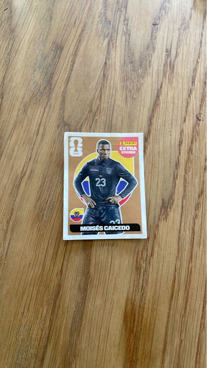 Panini Carte collezionabili: Panini Extra Sticker Moises Caicedo – Nuovo (secondo la descrizione) da Winterthur venduto da vert4