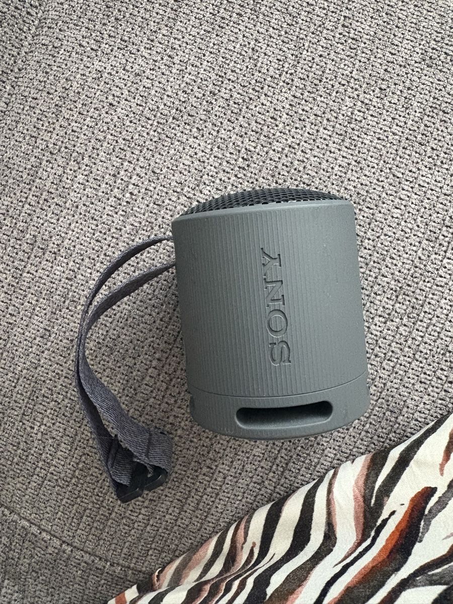 Sony Casse acustiche: Sony SRS-XB100 Bluetooth Lautsprecher – Nuovo (secondo la descrizione) da Winterthur venduto da ana_ds2c