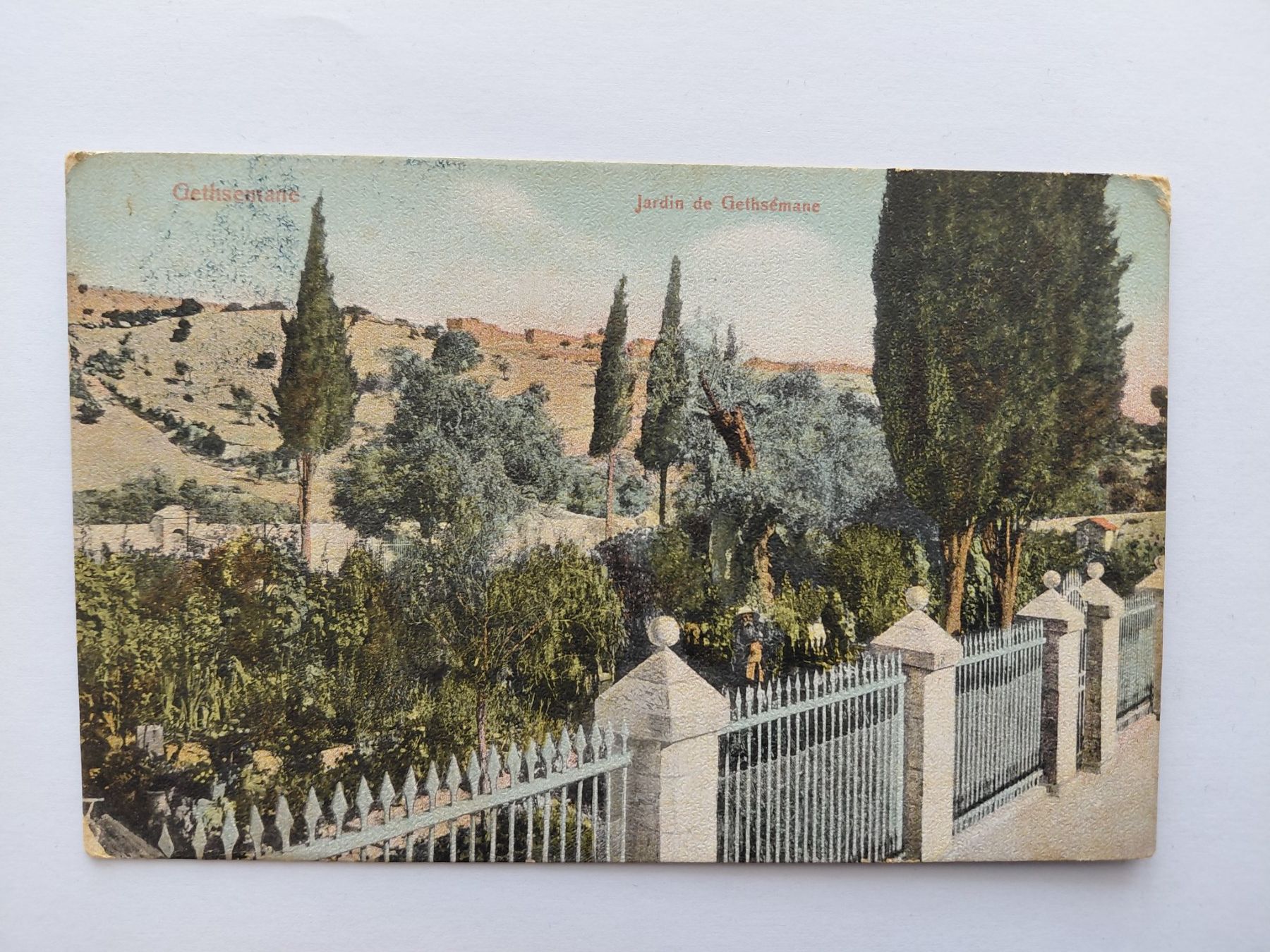 Cartoline postali: Ansichtskarte Gethsemane Jerusalem gelaufen 1908 – Usato da Wattwil venduto da yburgler