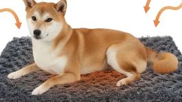 Selbstwärmende Hundedecke, XL, neu!