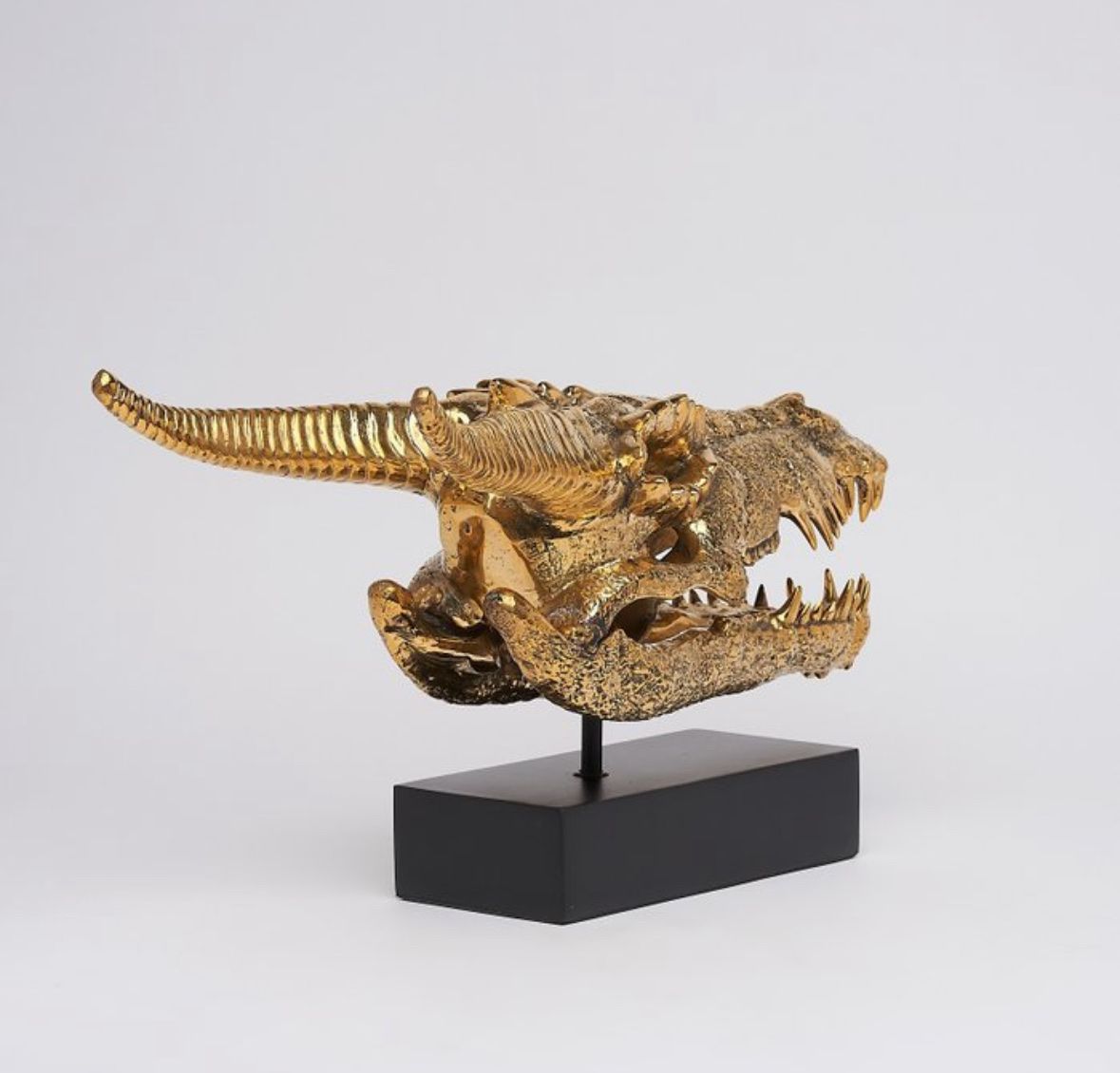 Sculture & Statue: Crâne de dragon en bronze – Nuovo e nell'imballaggio originale da Biel/Bienne venduto da Dragonpandora 5