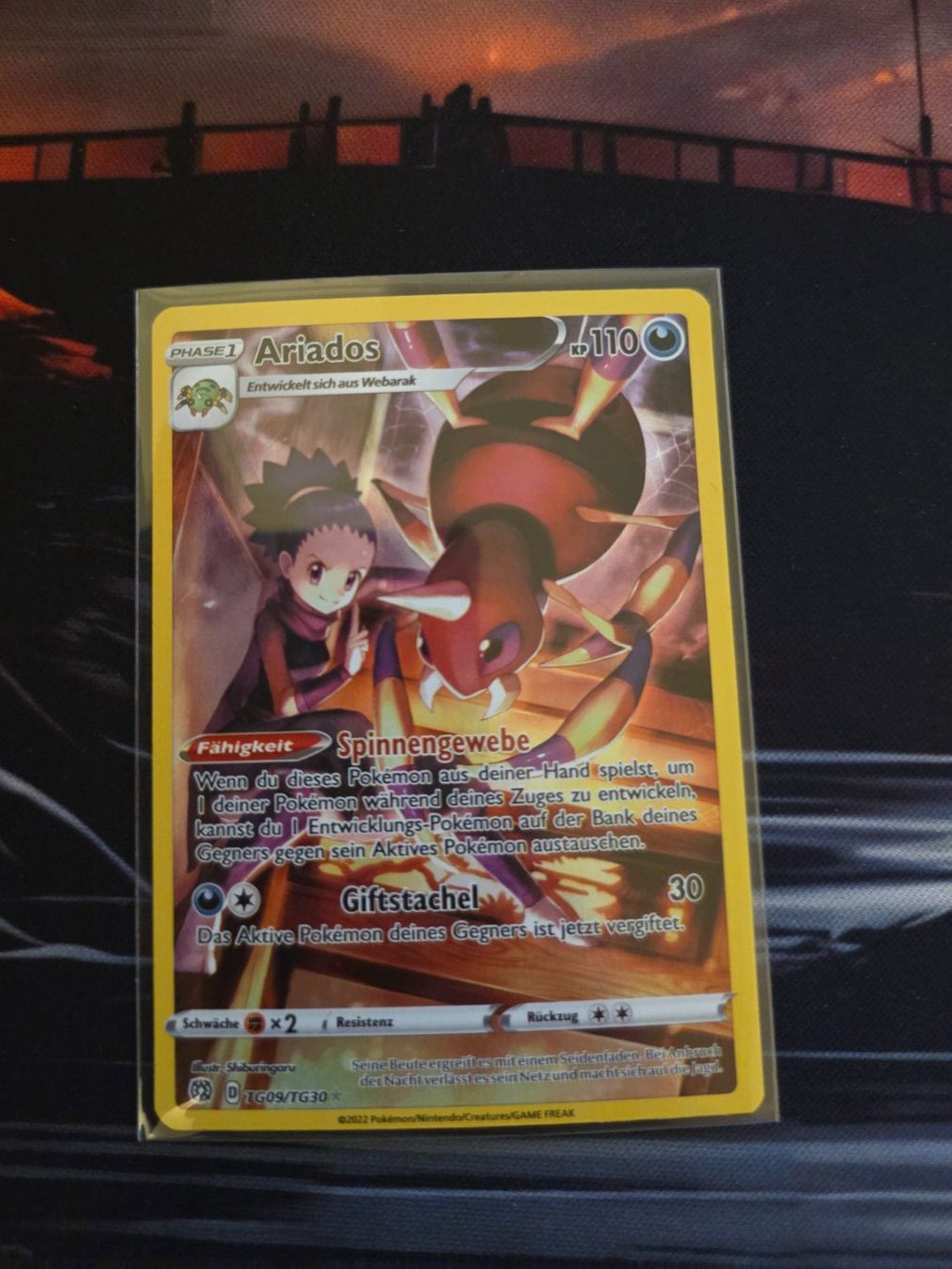 Pokémon Carte collezionabili: Ariados Trainer Gallery Rare / Pokemon / DE – Nuovo (secondo la descrizione) da Böckten venduto da Collector-Zone