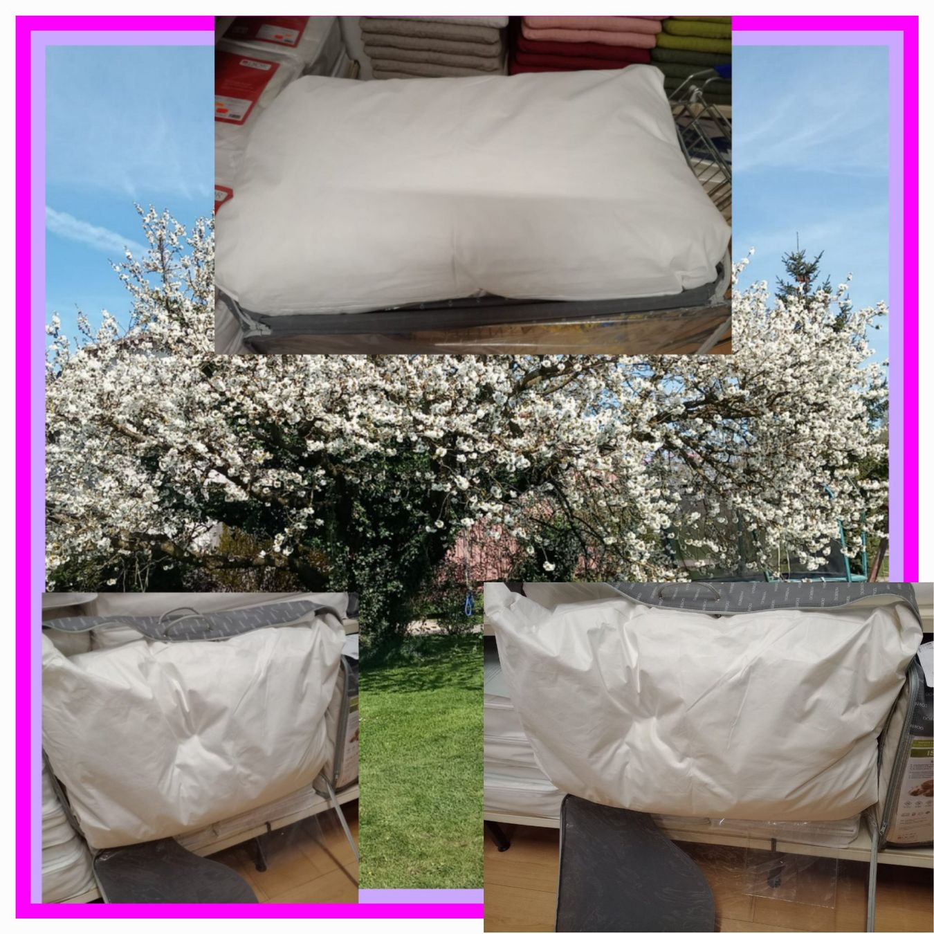 Kissen: Coussin literie1450gr.Meilleure qualité – Neu und originalverpackt aus Payerne von jea_m6nb