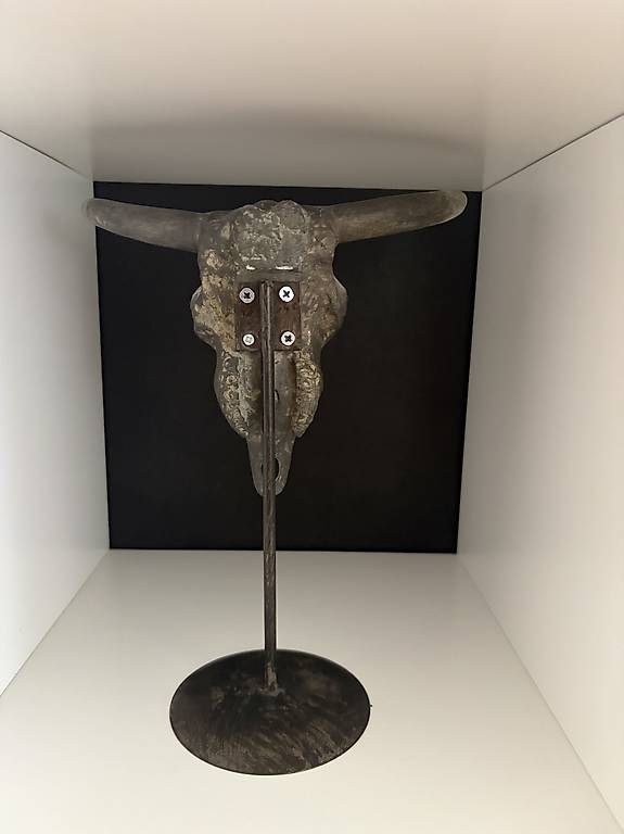 Tutte le decorazioni: Deko Schädel Standfigur – Usato da Thürnen venduto da Yaroc 3