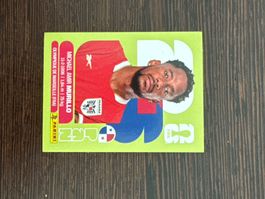 Panini FIFA WM 2026 PAN 6