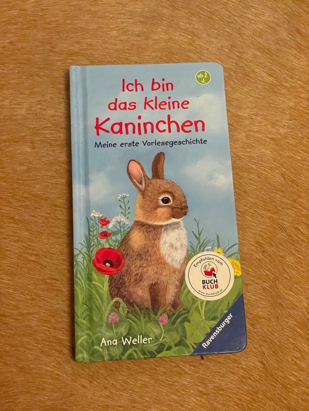 Livres: Kinderbuch "Ich bin das kleine Kaninchen" – Neuf (Voir description) à luzern par plueschmors.