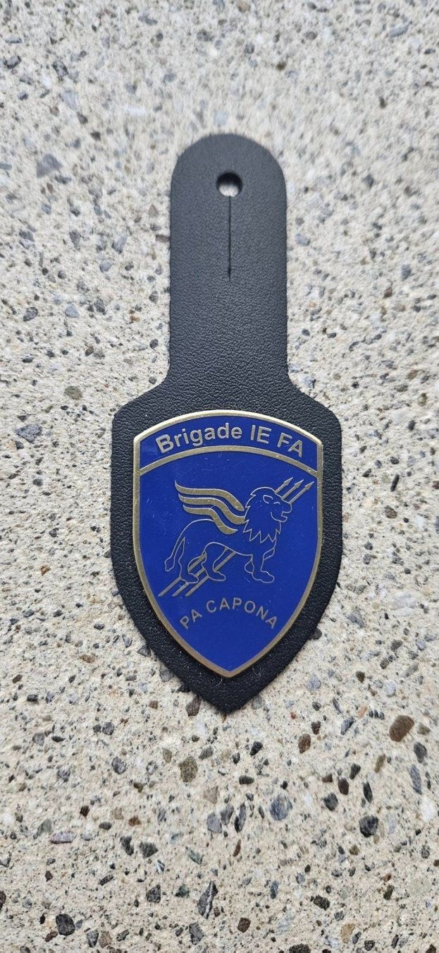 Schweizer Armee Placchette & Badge: *** Brustanhänger Luftwaffe Rare *** – Nuovo e nell'imballaggio originale da Riedholz venduto da fr_sIruP