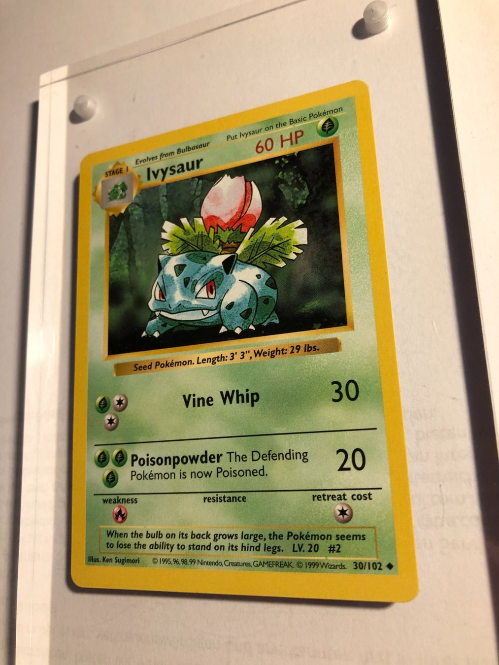 Sammelbilder & Trading cards: Ivysaur (uncommon) Base Set Shadowless - MINT - ab 1.- – Gebraucht aus Giubiasco von dan_pr8b 2