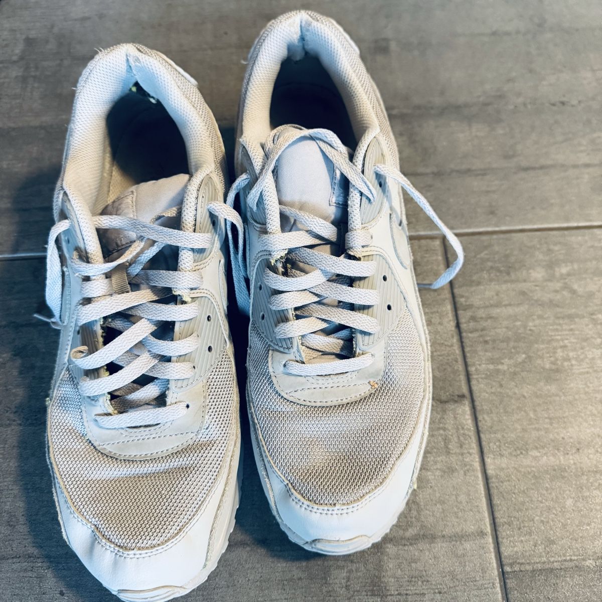 Nike Scarpe da uomo: Nike Air Max 90, Grösse 47.5 – Usato da Ostermundigen venduto da allemend