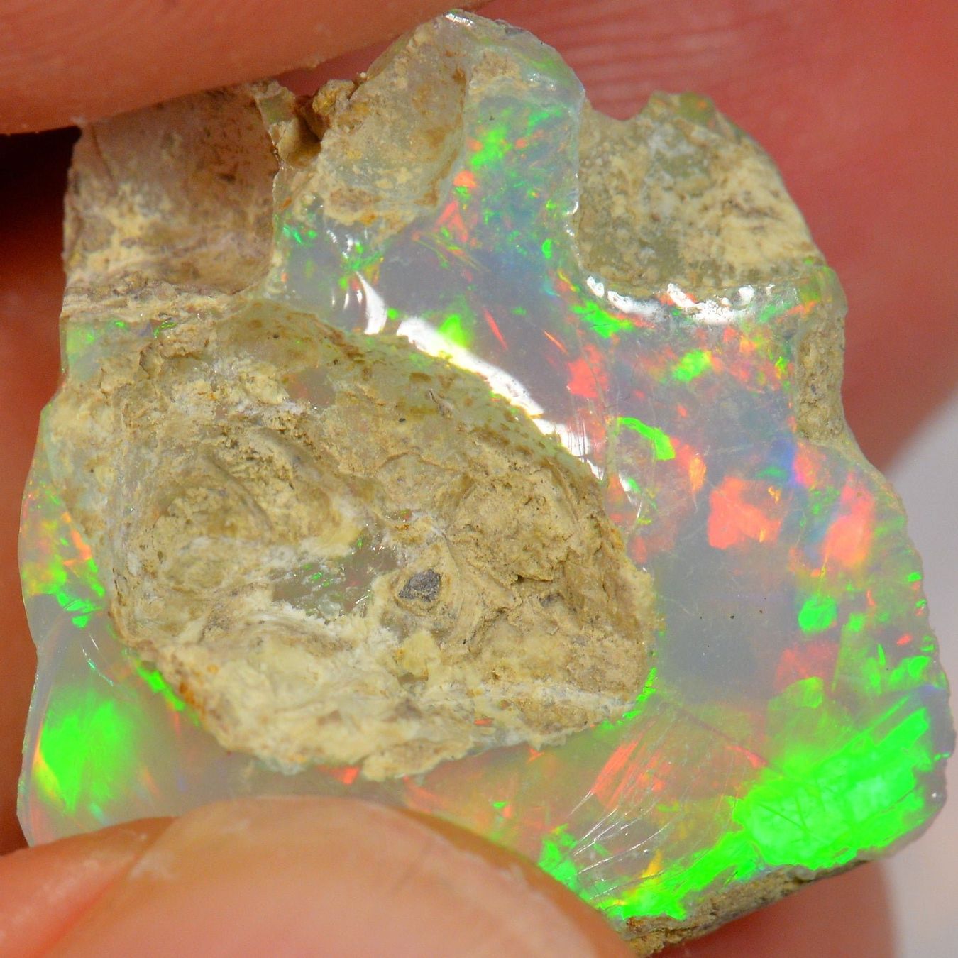 Pierres précieuses: 19.2 Karat - Roher Äthiopischer Welo Opal – Neuf (Voir description) à Rüti ZH par DeinOpal 1