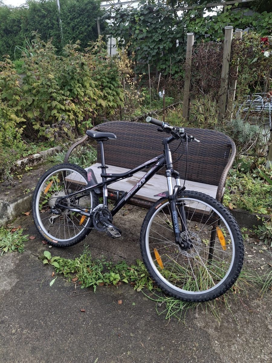 Velos: Schönes Avalanche MTB – Gebraucht aus Obergerlafingen von defrefa 3
