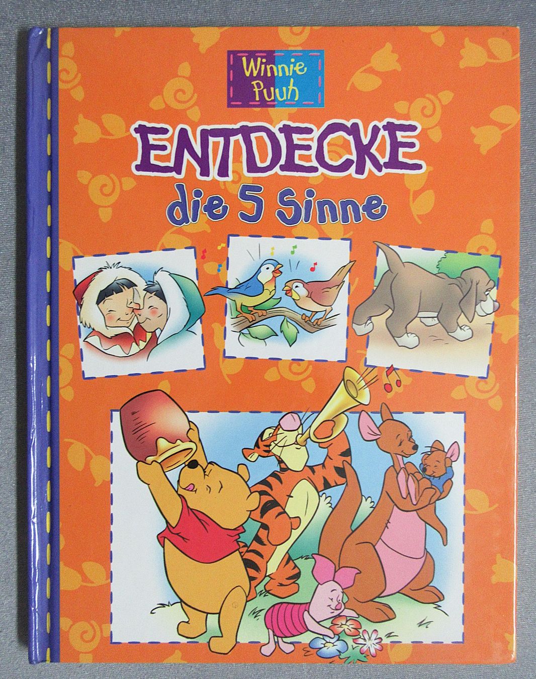 Libri: Winnie Puuh - Entdecke die 5 Sinne – Usato da Auenstein venduto da Padabimbim
