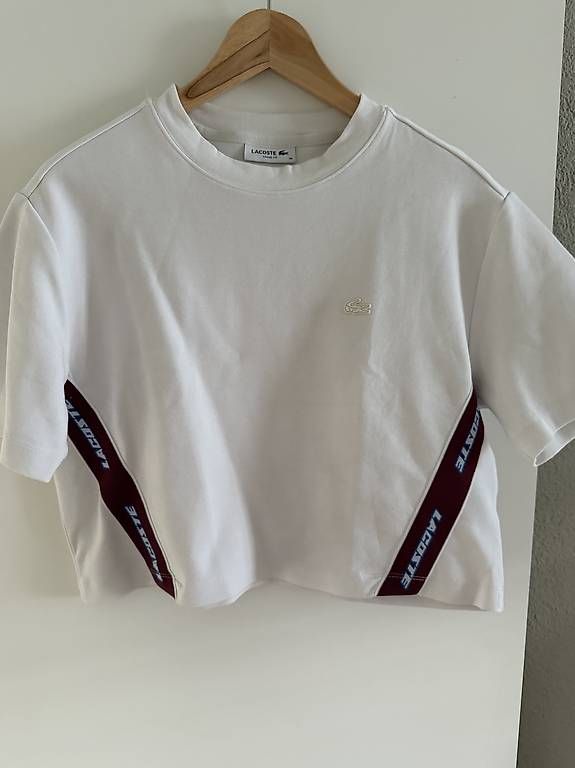 Lacoste T-shirt: Lacoste Shirt Gr. M – Nuovo (secondo la descrizione) da Sins venduto da bit_rg7j 1