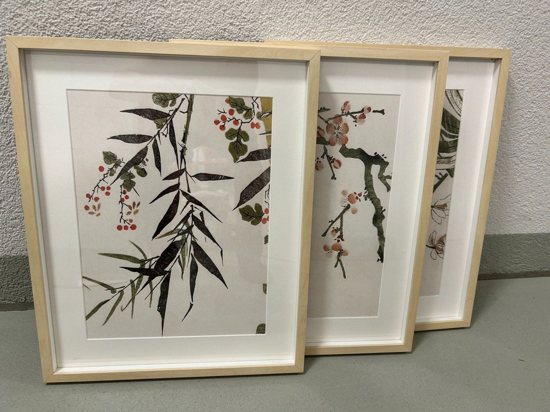 Ikea Cadres de tableaux: Bilderrahmen mit Bilder – D'occasion à Unterengstringen par Michael_