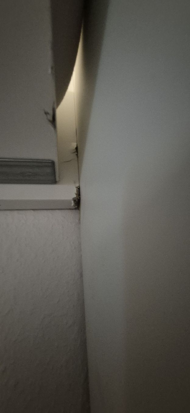 Betten: Hochbett IKEA – Gebraucht aus Winterthur von bin_2nty 4