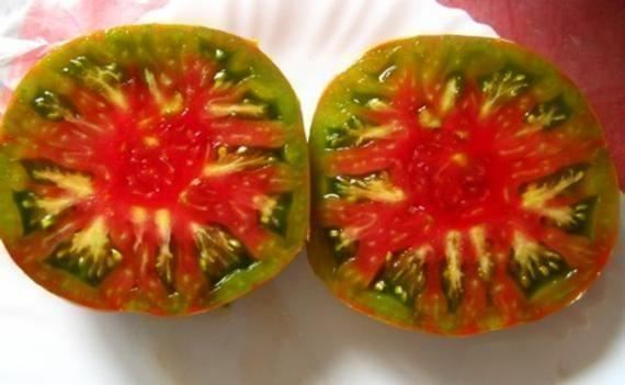 Piante & sementi: TOMATE ANANAS NOIRE  RARE 10g – Nuovo (secondo la descrizione) da Bremblens venduto da FIBONACCI369 1