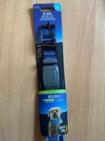 Collier fluo led neuf, taille S (30.5 - 40.6 cm)