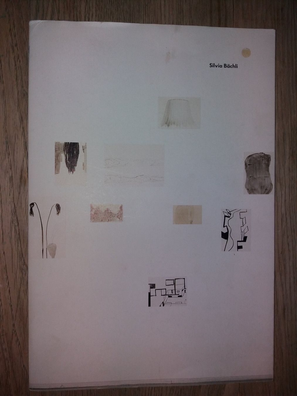 Libri: SILVIA Bächli Kunstklassik selten – Usato da Welschenrohr venduto da Regool