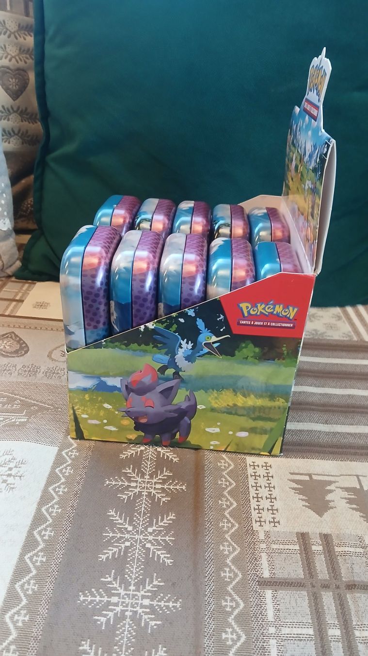 Pokémon Cartes à collectionner: Display mini tin pokemon vide – D'occasion à Condémines (Nendaz par Dr.Sub 1
