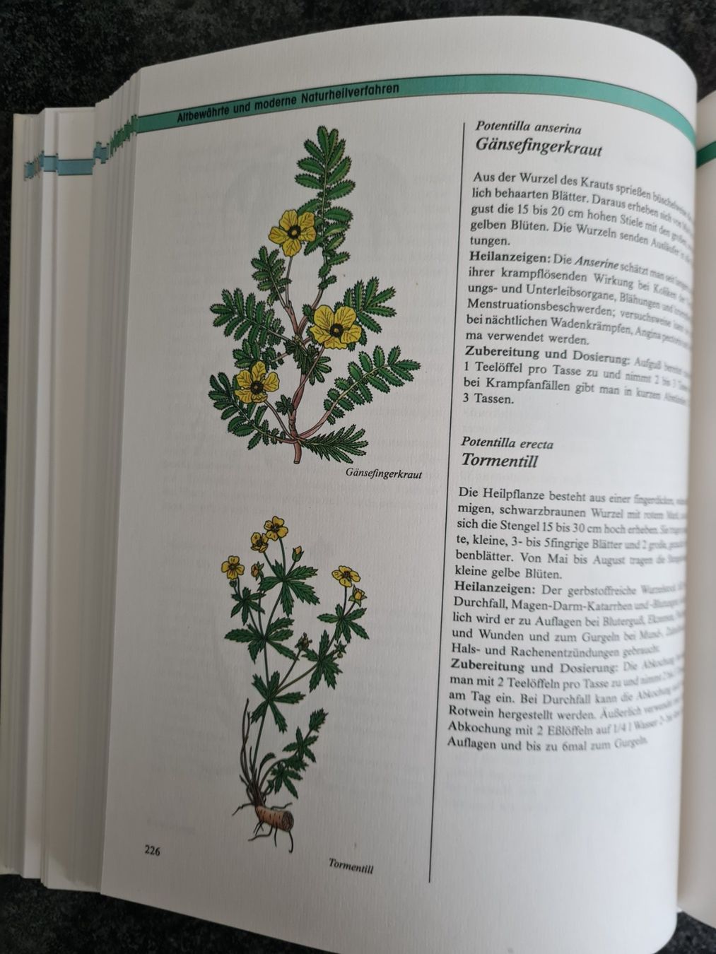 Libri: Das moderne Buch der Naturheilkunde – Usato da Klosters venduto da Riva123 1