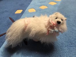 Barbie Hund