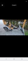 Mofa Trike