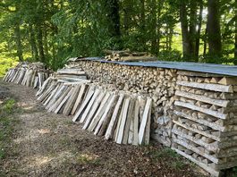 Brennholzspälten 1m Esche