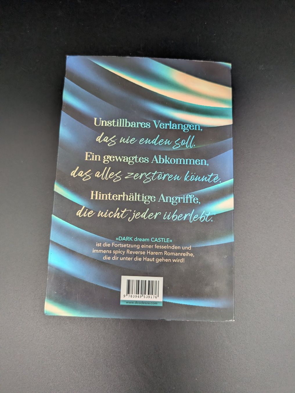 Livres: D.C. Odesza: Dark Dream Castle – D'occasion à Wiezikon b.Sirnach par CaRo_Second 1