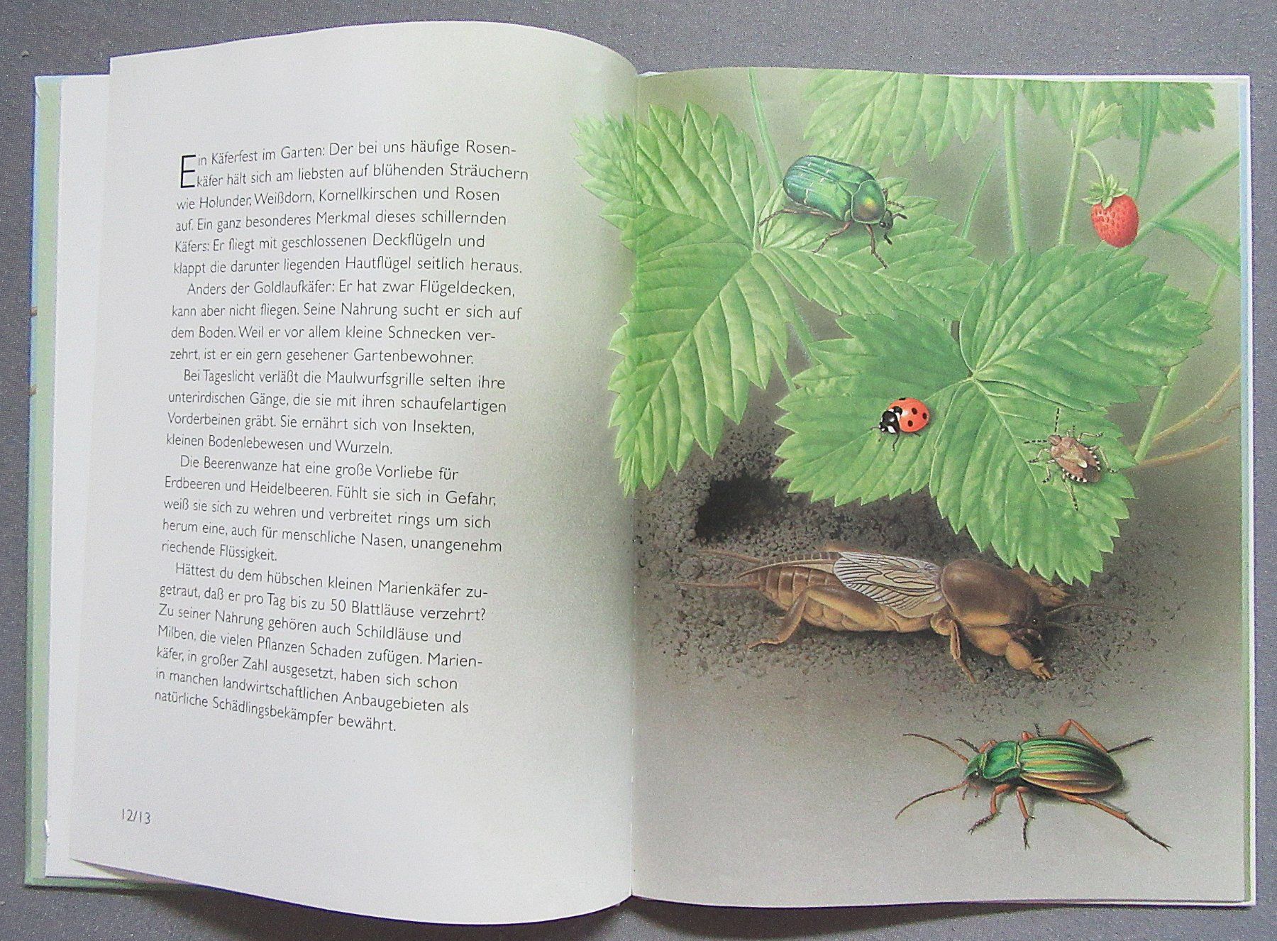 Livres: Tiere im Garten - ein Atlantis Kinderbuch – D'occasion à Auenstein par Padabimbim 4