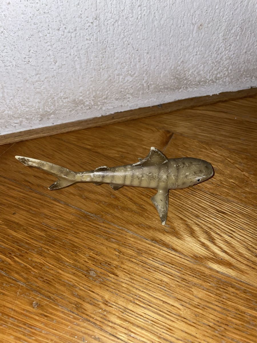 Schleich Statuette: Schleich Tigerhai 14555 – Usato da Adetswil venduto da Mschnuffi