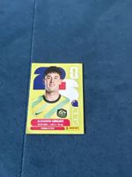 Panini Aus5