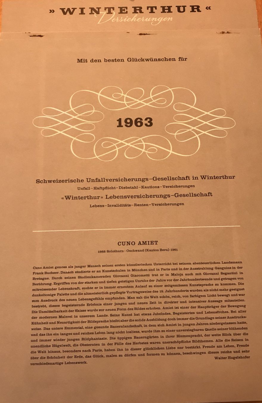 Calendari: Kalender Winterthur Versicherungen – Usato da Altstätten SG venduto da Nik2009 8