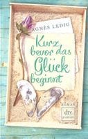 Ledig Agnes - Kurz bevor das Glück beginnt / Roman