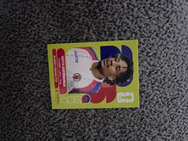 Panini Sticker HAI 4,  WM 2026
