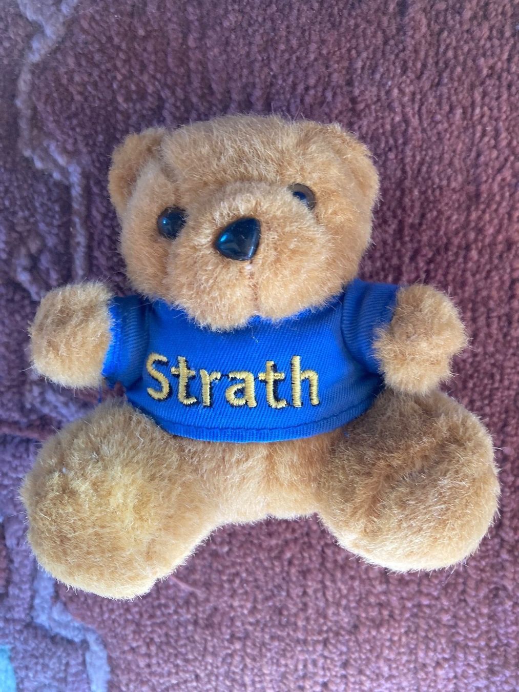Giocattoli: Teddybär mit ,Straht‘ Jacke – Nuovo (secondo la descrizione) da Pitasch venduto da brunic28229
