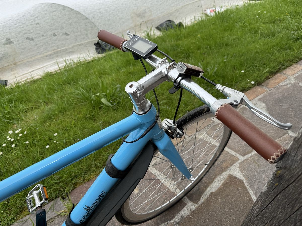 Biciclette: Flying Donkey singlespeed Pedelec E Bike – Difettoso da Strengelbach venduto da tartaruga87 3