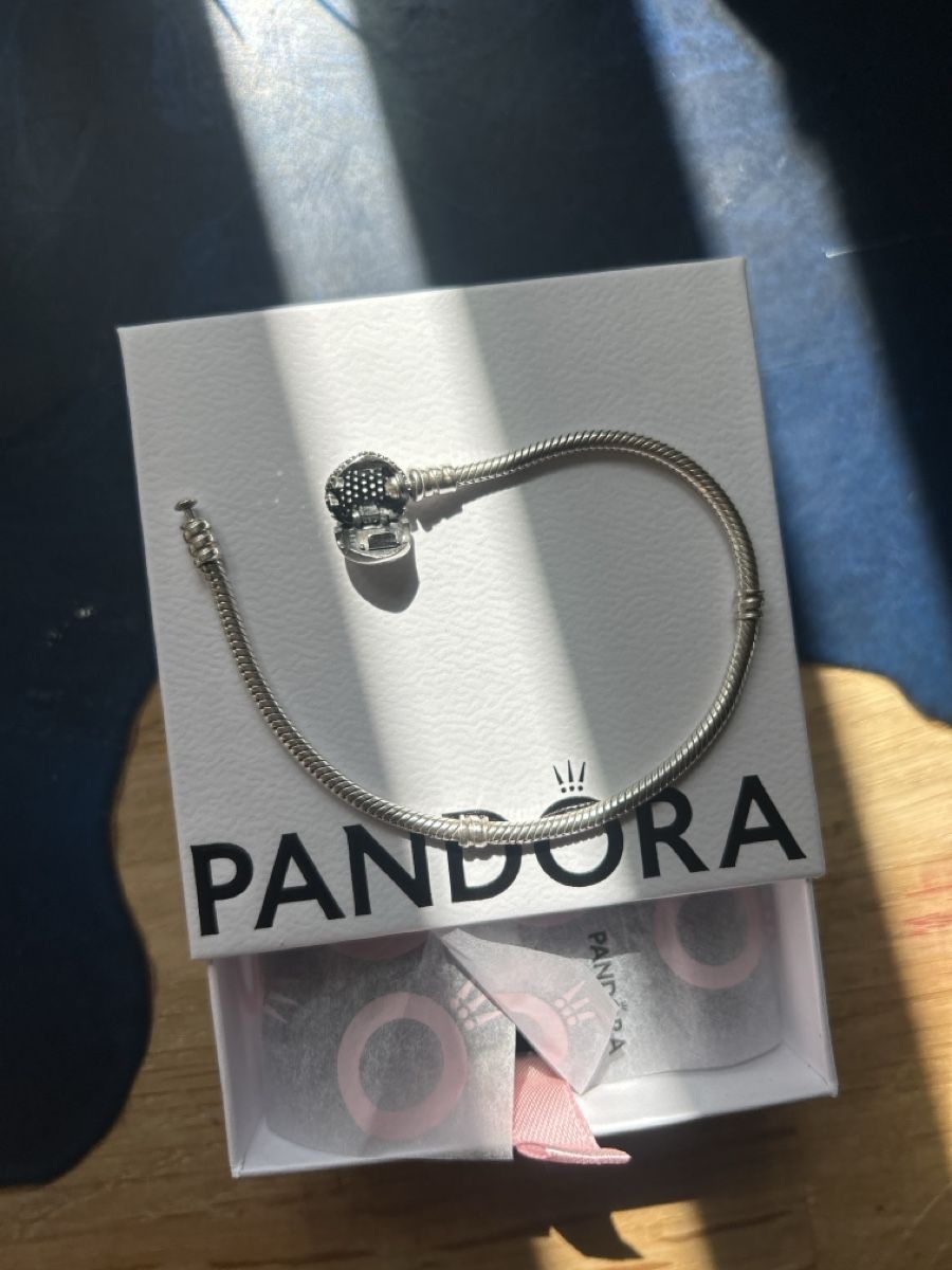 Pandora Bracelets: Pandora Armband Silber – D'occasion à Root par ele_j9pk 1