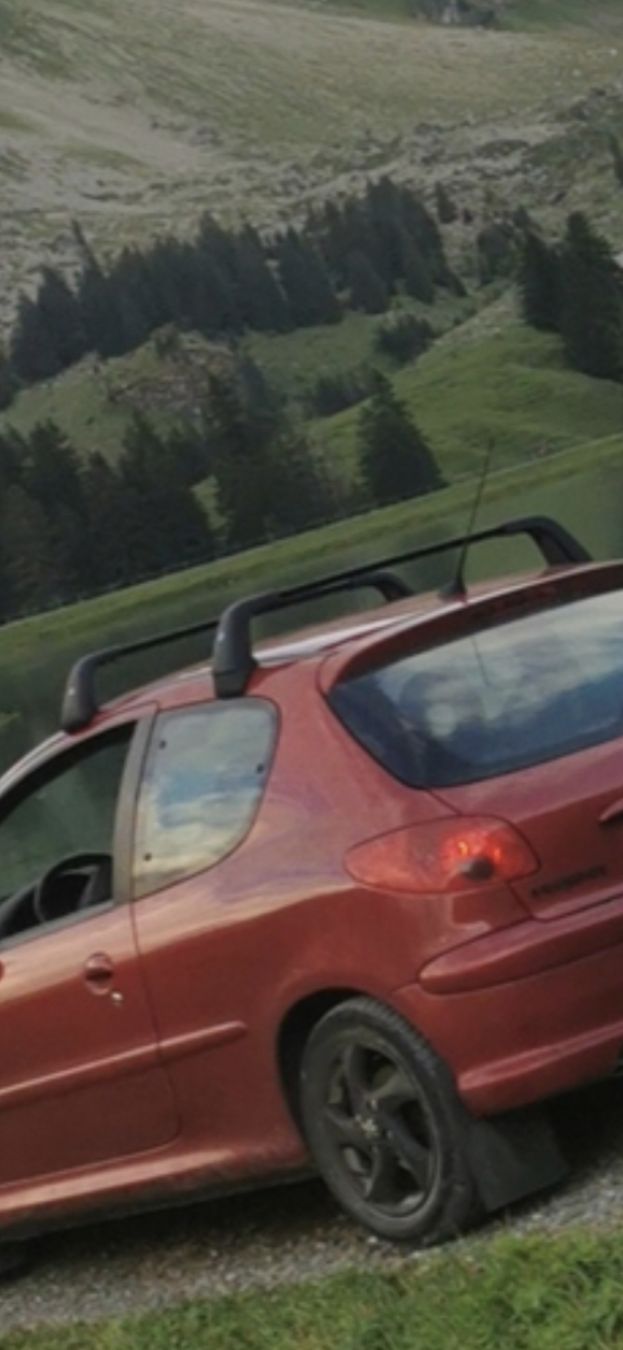 Portapacchi: Peugeot 206 Dachträger – Usato da Arth venduto da fra_x27c 1