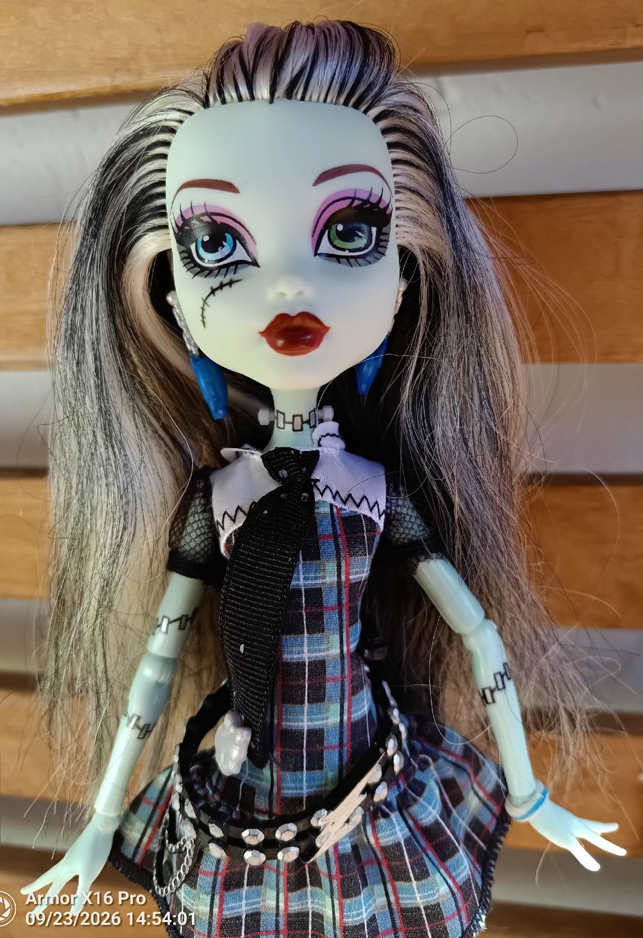 Puppen: Monster high: Frankie Stein – Gebraucht aus Alchenflüh von roh_6xk8