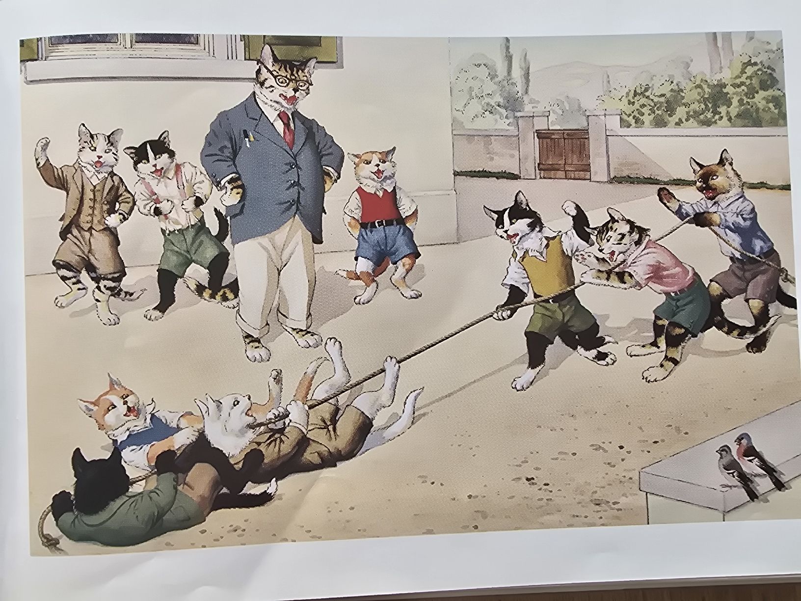 Libri: Hartung, Die fröhliche Katzenschule – Usato da Hedingen venduto da mickway 1